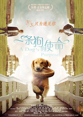 小受不许穿内裤随时挨c视频