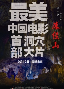 觅音计划
