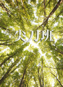 亚洲精品二区