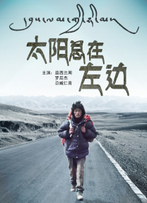chinese东北体育生飞机